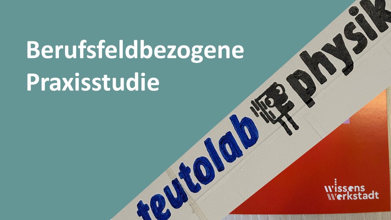 R sum de 282602 berufsfeldbezogene praxisstudie bpst physik su g
